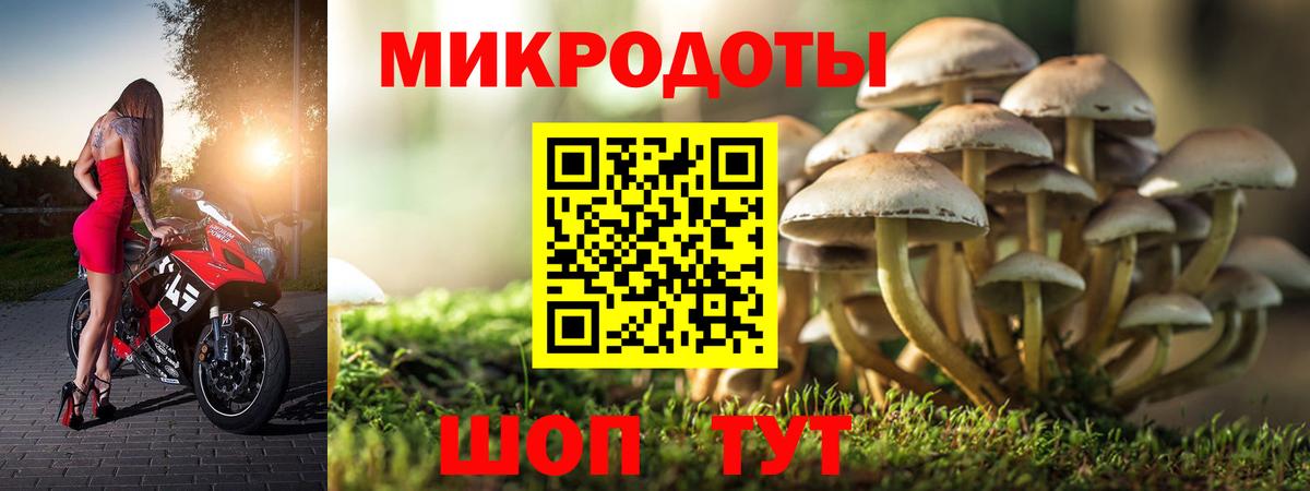 Галлюциногенные грибы Psilocybine cubensis  Вход с VPN  Псилоцибиновые грибы MAGIC MUSHROOMS  Новороссийск 